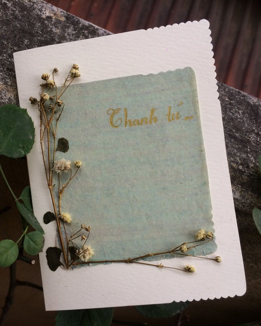Hoa Lá Cỏ Greeting Cards - Thiệp Hoa Cỏ (Kèm Bì Thư)