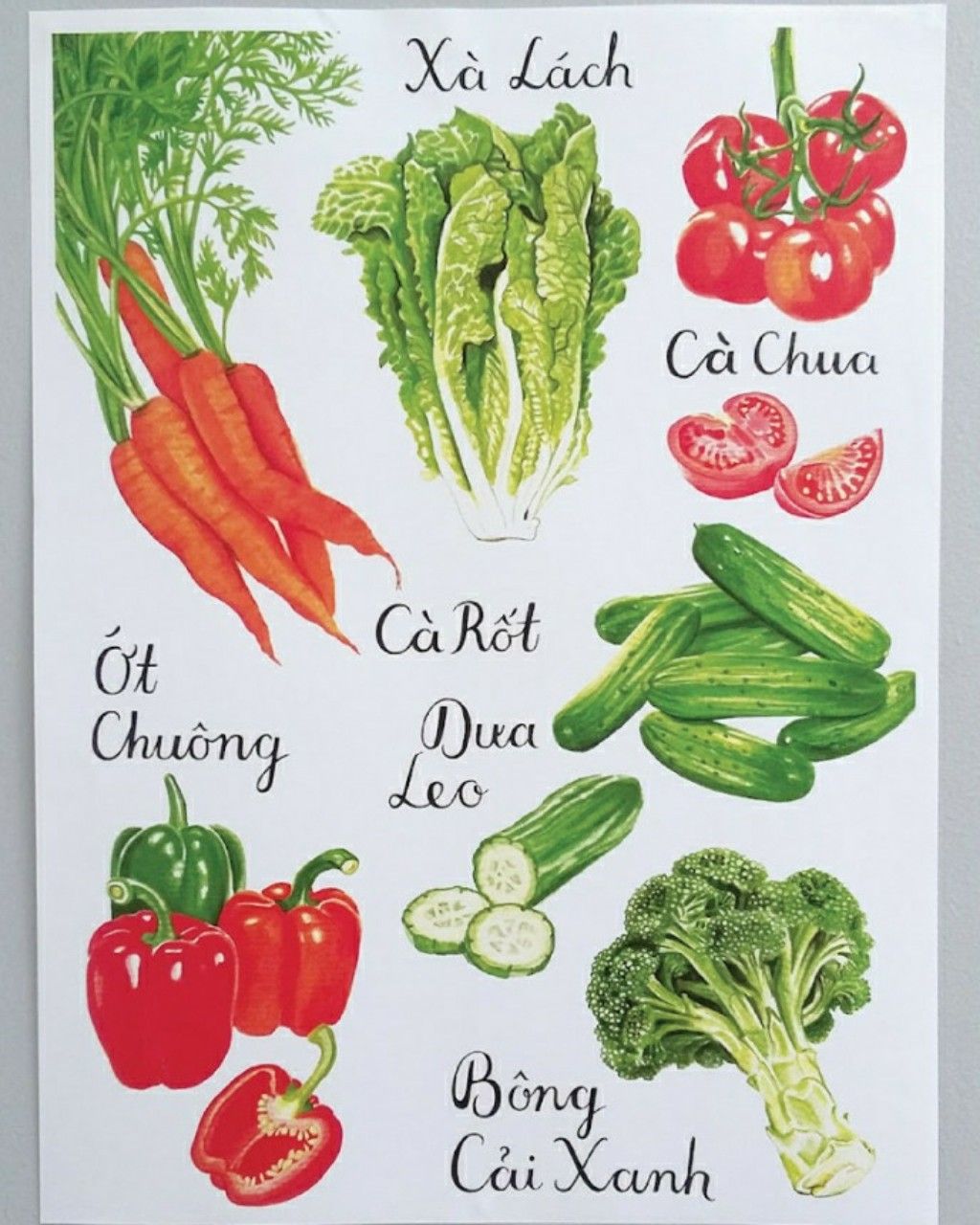 Veggie Posters