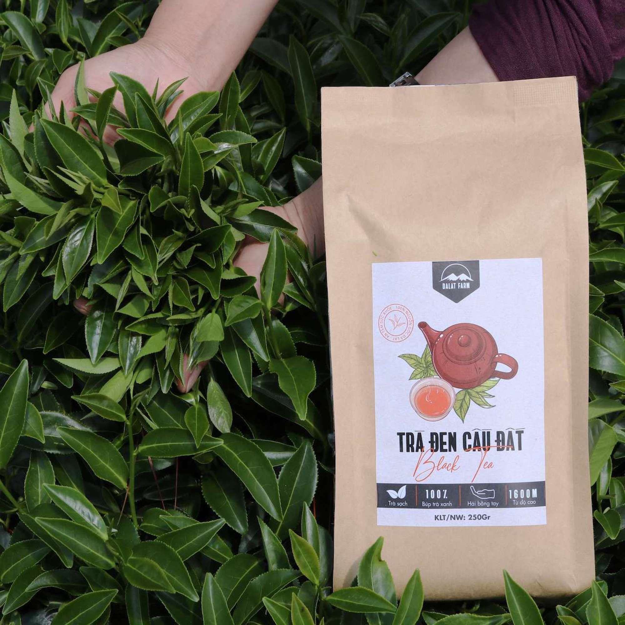 Trà Đen Cầu Đất (Hồng Trà - Black Tea) DalatFarm - Nguyên liệu làm trà sữa trà đào - Túi 250gr