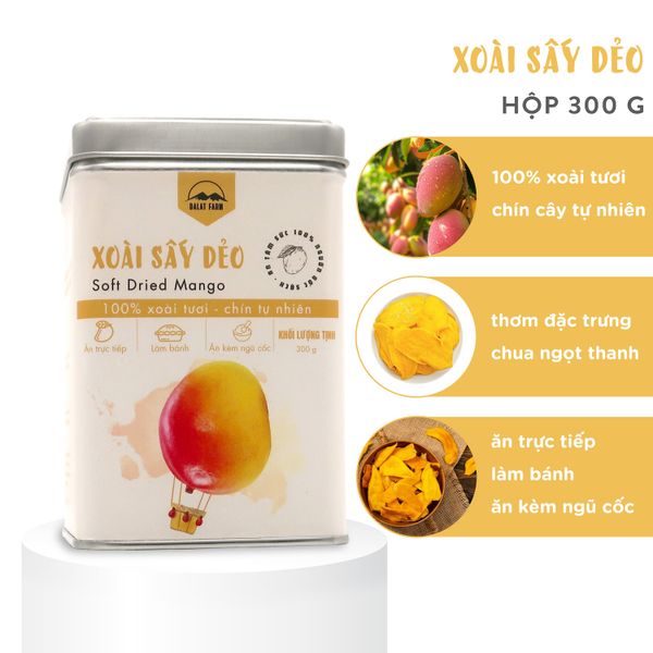  Xoài Sấy Dẻo - Hộp thiếc 300 g 