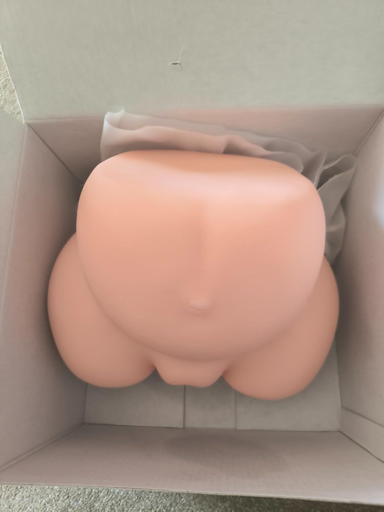 Nani Pu-chan ( 3Kg)