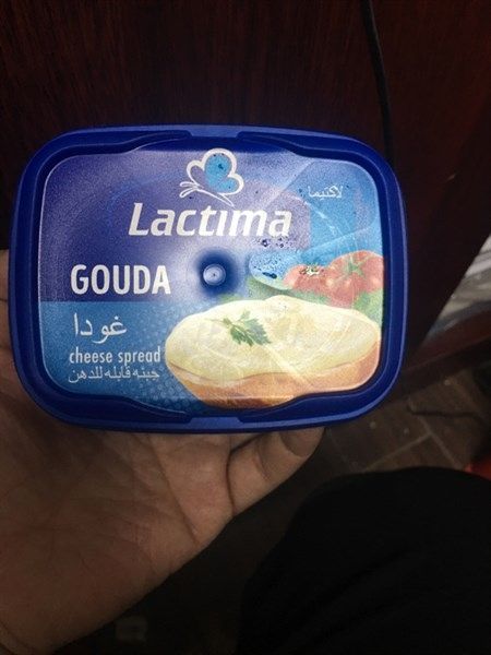 DA.C- Gouda Cheese Lactima 150g T12