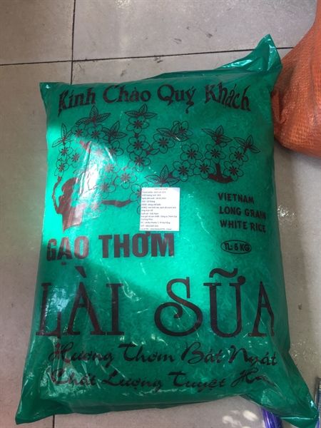GR.R- Lài Sữa Rice 5kg (Gạo Lài Sữa xanh) T3
