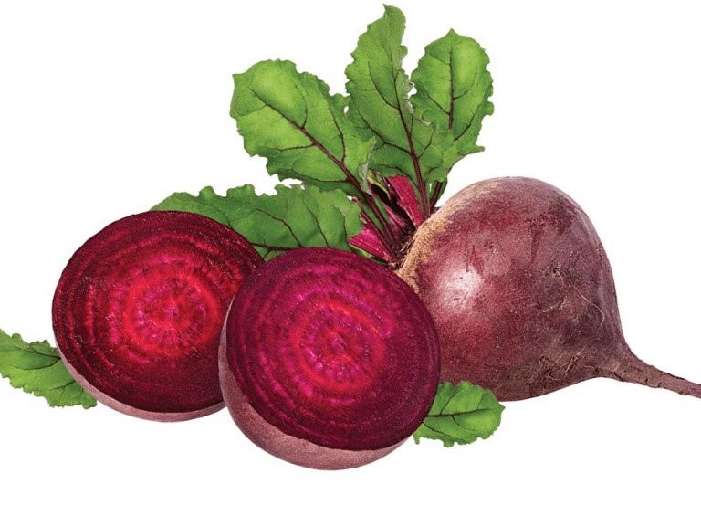 VE.R- Củ dền tươi - Nha Trang - Beetroot