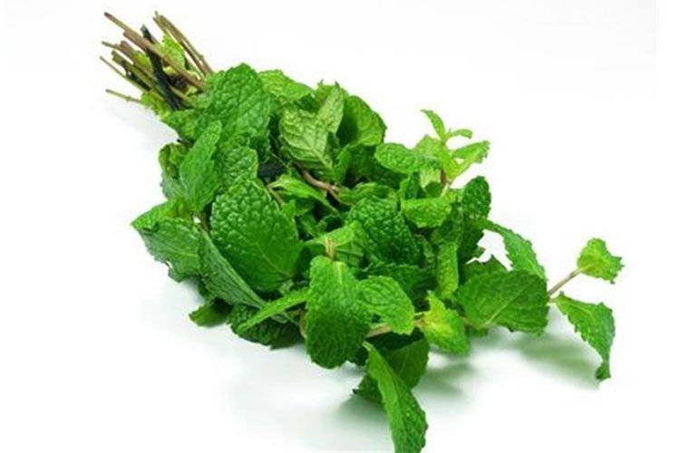 VEC- Spearmint ( Rau húng lũi ) ( 1Kg / 1 pack 50g )