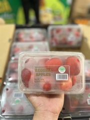 FR.L- Cherry Apples Begonia 500g (Táo cherry) T11 -ĐN