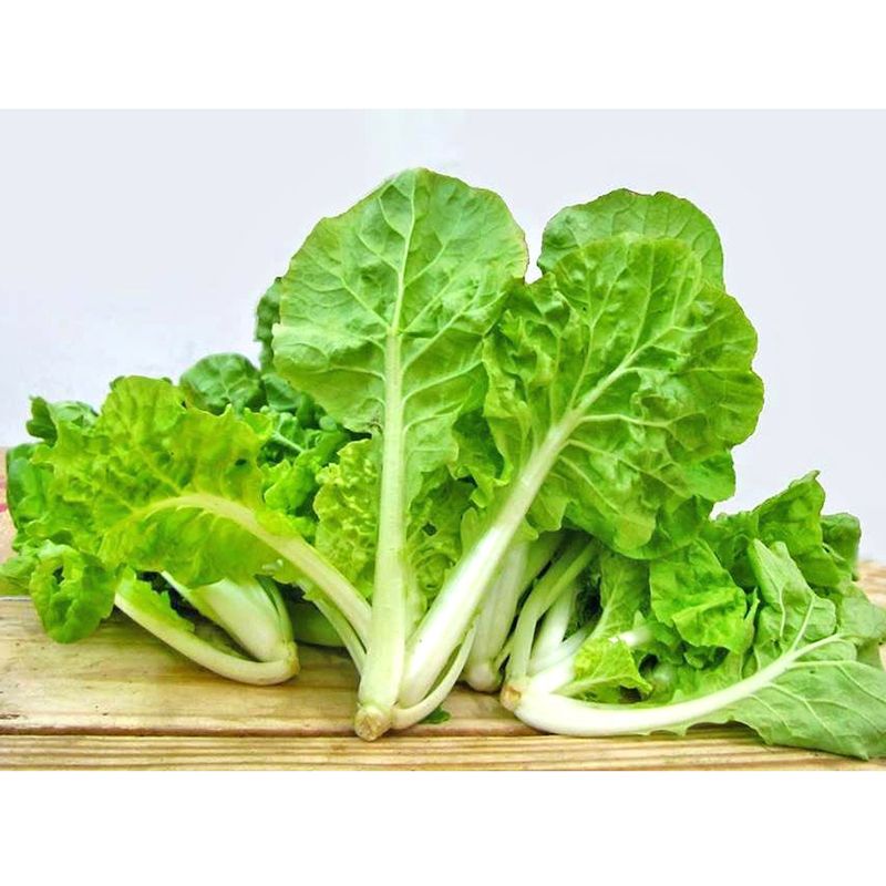 VE- Cải bẹ dún - Brassica Juncea ( Kg )