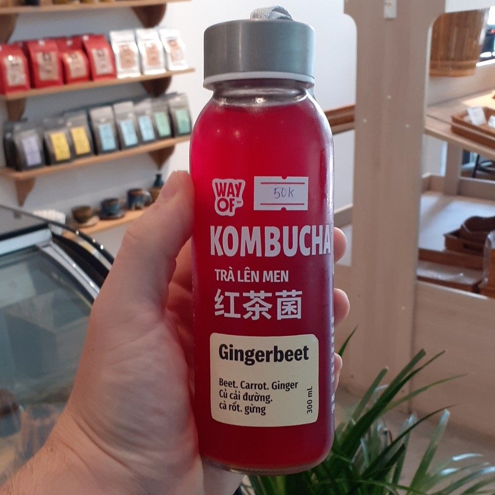 T-Gingerbeet Tea Kombucha 300ml (Bottle)