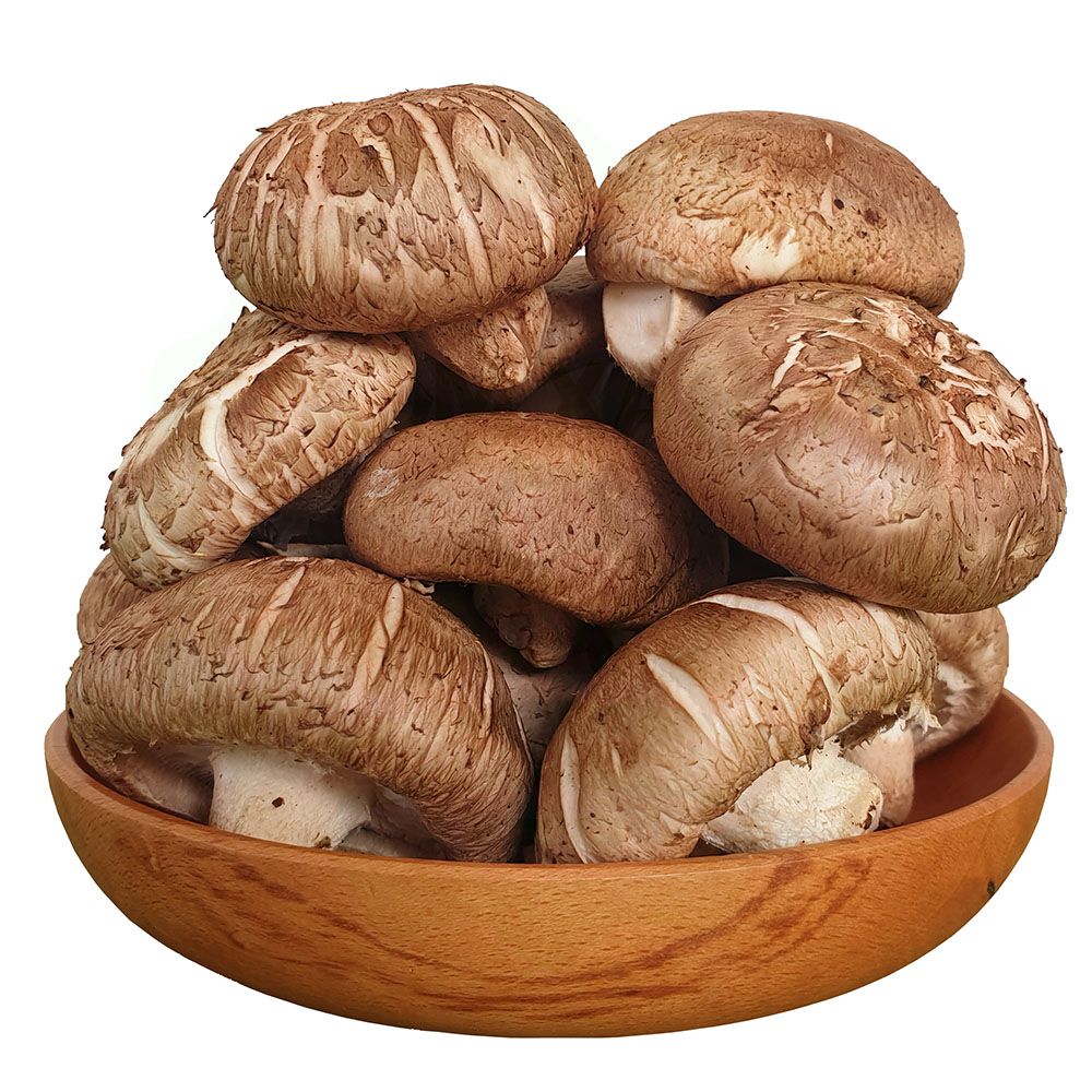 VE- Nấm đông cô tươi - Nha Trang - Fresh Shiitake Mushroom ( kg )