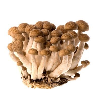 VE- Nấm linh chi nâu - Lingzhi Mushroom Brown 125g ( pack ) - Nha Trang