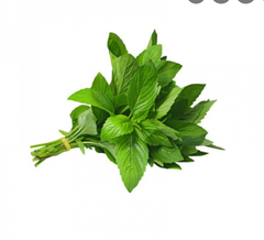 VE.H- Rau thơm - Fresh Herb ( kg )