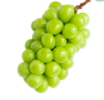FR.I- Green Grape Shine Muscat Taiwan (Nho sữa Đài Loan) -ĐN