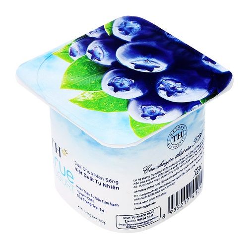 DY- Blueberry TH True Yogurt 100g ( pcs )