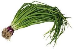 VE- Green Onion ( Hành lá ) ( 1KG / PACK 150g )