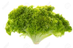 VE- Hydroponic Bata Salad ( 1KG / PACK 150G )