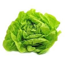 VE- Hydroponic Butterhead Lettuce ( Xà lách mỡ ) ( 1KG / 150G )