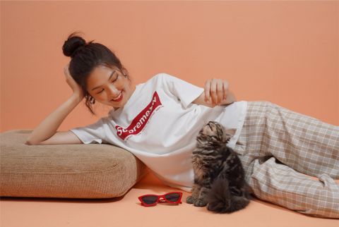 Cats rule the world