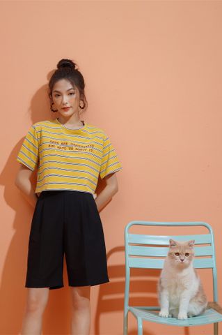 Cats rule the world
