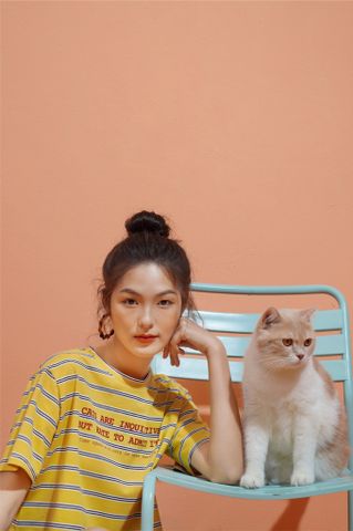 Cats rule the world