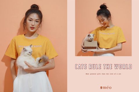 Cats rule the world