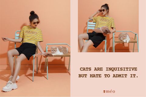 Cats rule the world