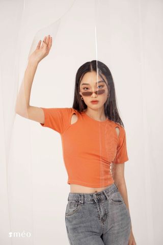 Best of Basics
