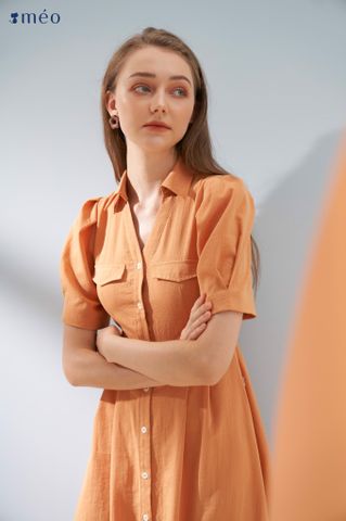 Shirt Dresses Collection
