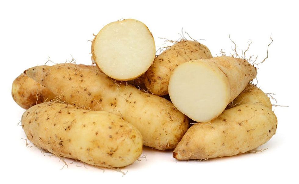 KHOAI TỪ 500GRAM