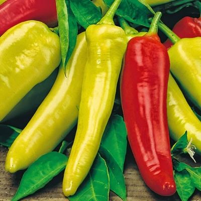 ỚT SỪNG BATRI 500GRAM