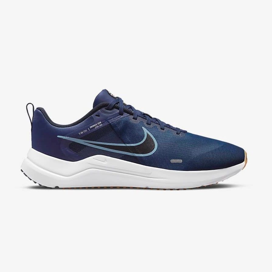 Giày Chạy Nam NIKE Nike Downshifter 12 DD9293-400