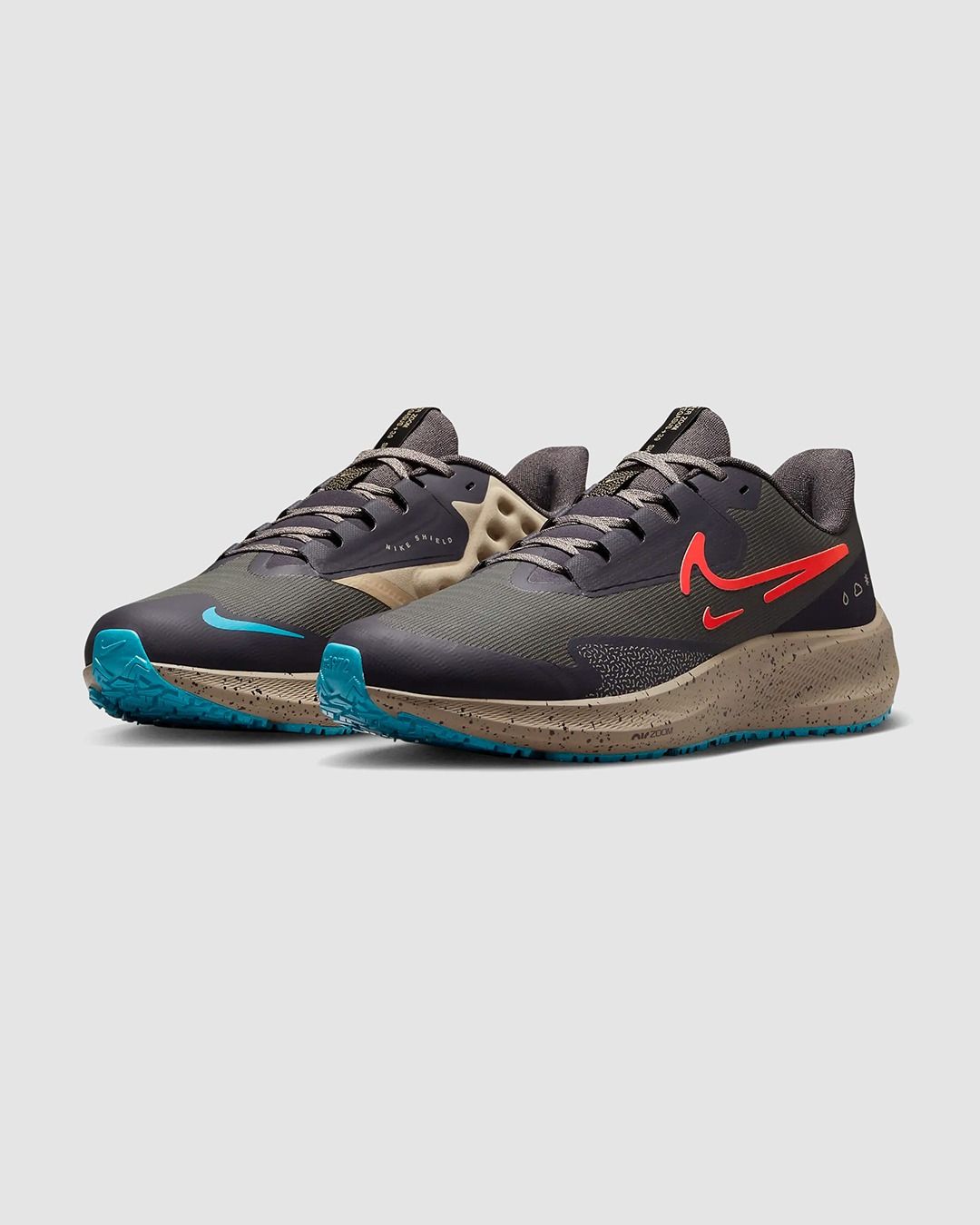 Giày Chạy Nam NIKE Nike Air Zoom Pegasus 39 Shield DO7625-200