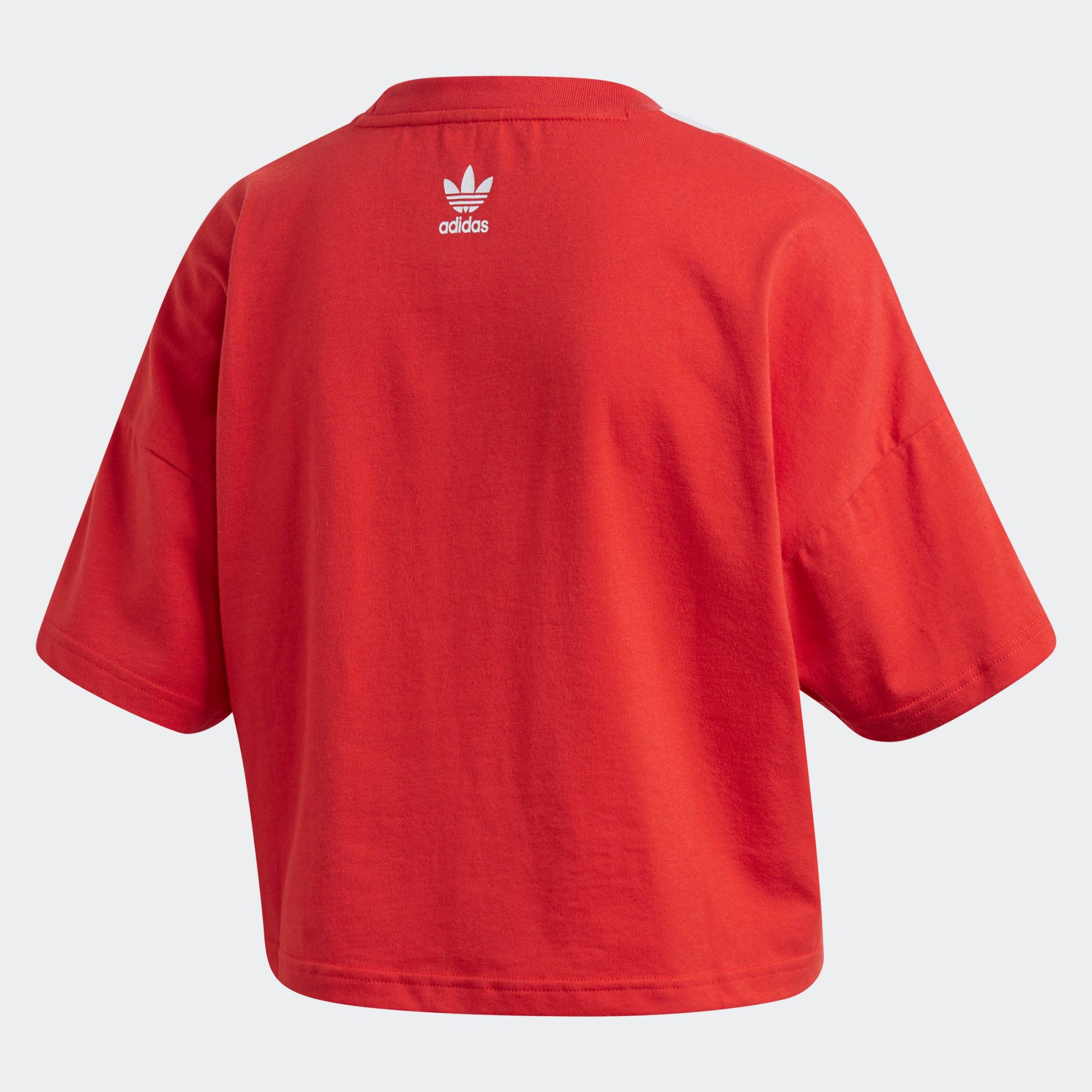 Áo Phông - Áo thun Originals Nữ Adidas Lrg Logo Tee FM2565