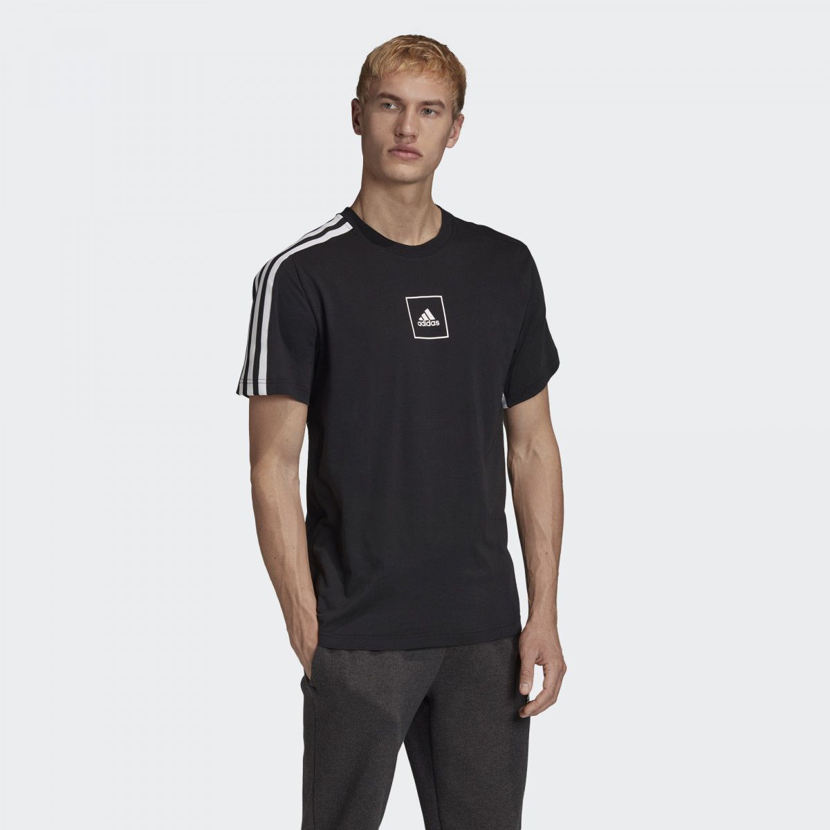Áo Phông - Áo thun Thể Thao Nam Adidas M Aac Tee FQ2023