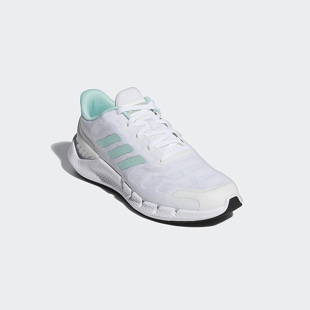 Giày Chạy Nữ Adidas Climacool Ventania W FX7357