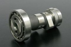 17R stage+D Cốt cam TAKEGAWA