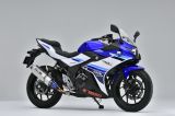 LON PÔ SUZUKI GSX-250R OVER RACING TT FORMULA (350mm)