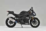 KIT PÔ YAMAHA YZF-R3 OVER RACING TT FORMULA (350mm)