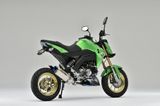 KAWASAKI Z125-PRO Gắp/ càng sau MONO+GP-TEN OVER RACING (+5cm)