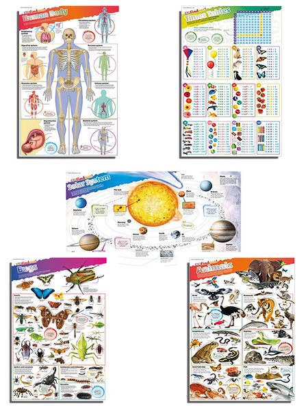 Combo: POSTER 5 chủ đề Khoa học cho bé 4