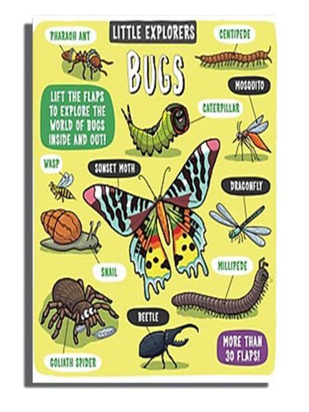 LITTLE EXPLORERS BUGS