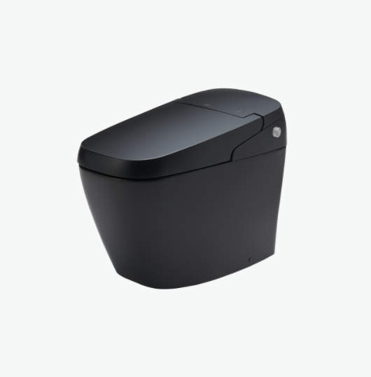 Bàn Cầu Điện Tử SATIS G-INAX - AC-G216VN/BKG