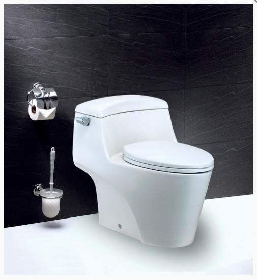 Bàn Cầu Một Khối - C1353