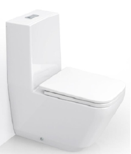 BÀN CẦU 1 KHỐI XẢ NHẤN RIGEL R-WO7100F-U