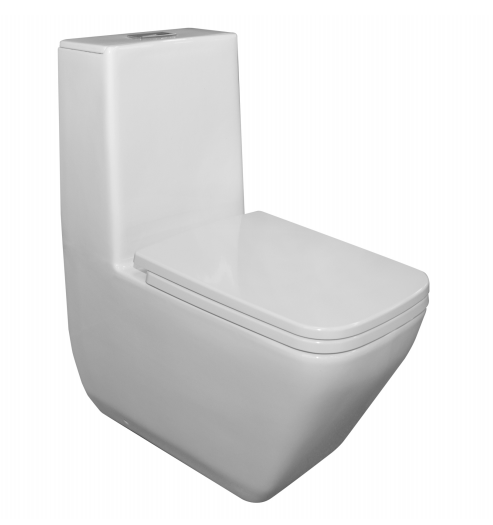 BÀN CẦU 1 KHỐI XẢ NHẤN RIGEL R-WOS7100S12-S