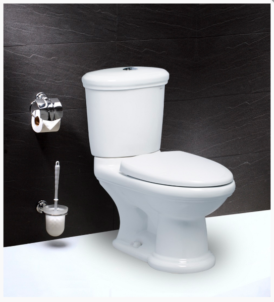 Bàn Cầu Hai Khối Nắp Êm - CD1331
