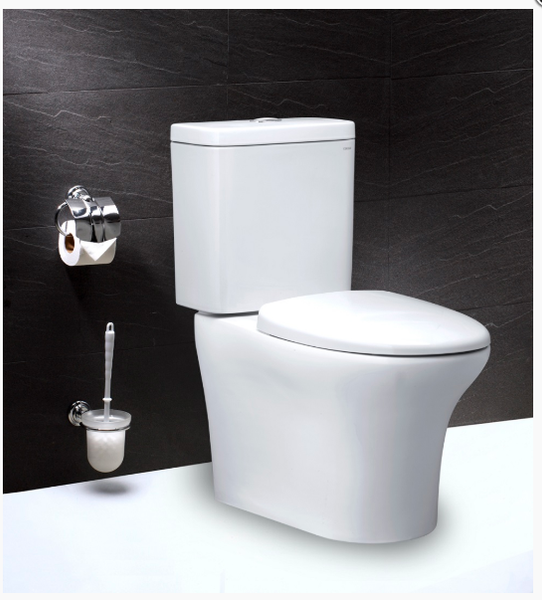 Bàn Cầu Hai Khối Nắp Êm - CD1341