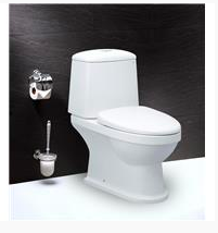 Bàn Cầu Hai Khối - CD1530