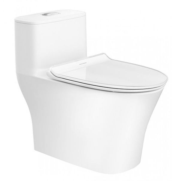 Bàn cầu một khối American Standard - WP-1880