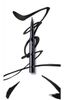 Ruột mực bút kẻ mắt nước Shu Uemura calligraph:ink