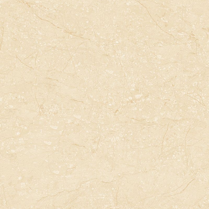 Prime Premier 03.600600.17010 (Porcelain)